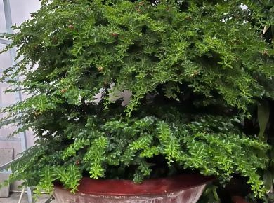 Taxi Tải Chở Hàng TPHCM