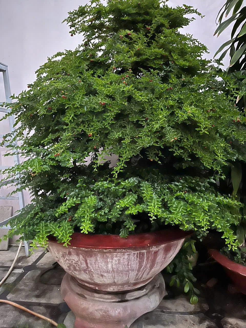 Taxi Tải Chở Hàng TPHCM